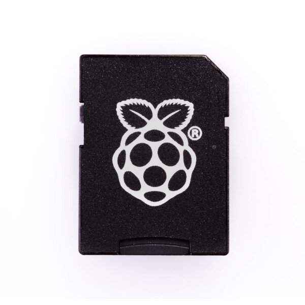 SD Card Adapter with Raspberry Pi logo printed
